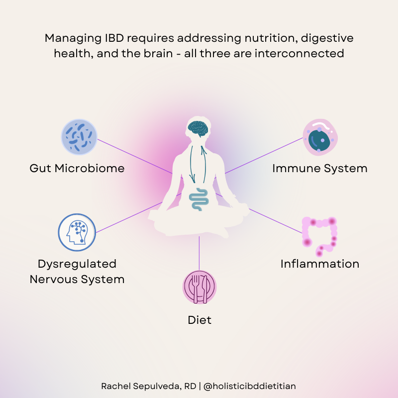Diagram of the gut brain nutrition connection