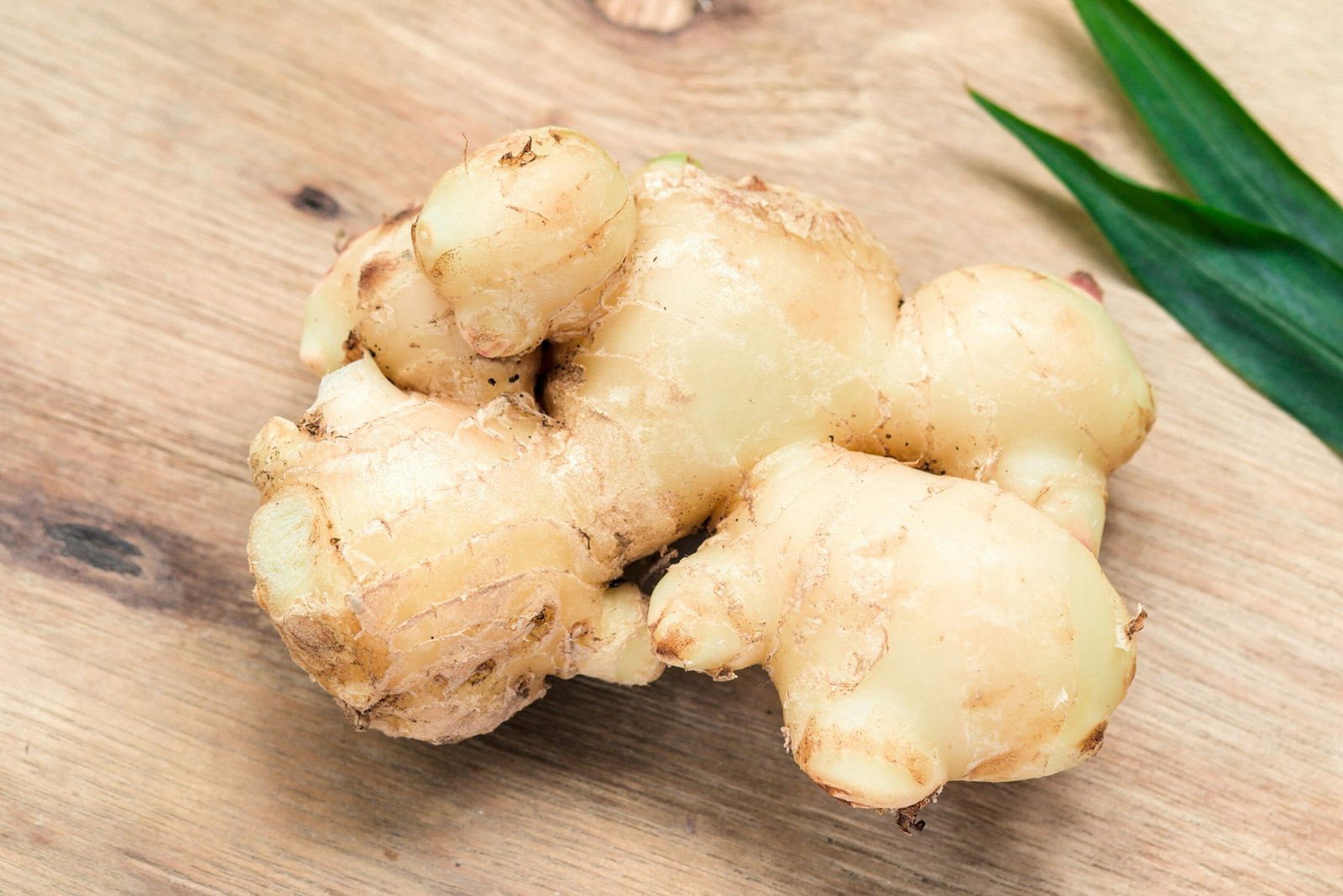 This is a picture of ginger root.